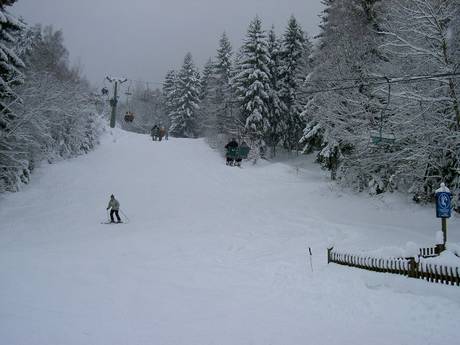 Diversité des pistes Haut-Palatinat (Oberpfalz) – Diversité des pistes Hohenbogen – Neukirchen bei Hl. Blut