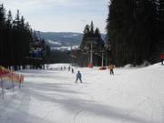 Des pistes faciles et larges à Lipno