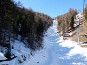Piste freeride Sautal