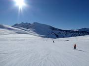 Piste facile Marmottes