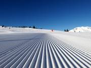 Très bonne préparation des pistes