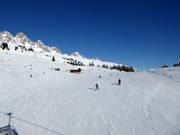 Piste facile Fuchiade (Passo San Pellegrino)