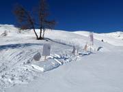 Sentier pédagogique animalier