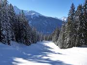 Piste intermédiaire Langried