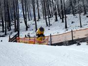 Descente en vallée enneigée artificiellement