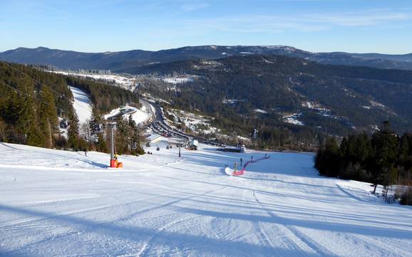 Diversité des pistes Zwieseler Winkel – Diversité des pistes Arber