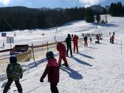 Übungslifte Kinderland - Télécorde/remonte-pente à câbles bas
