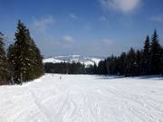 Large piste large et plate dans la partie supérieure