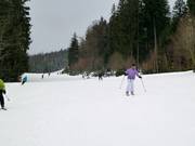 Piste familiale Geißkopf