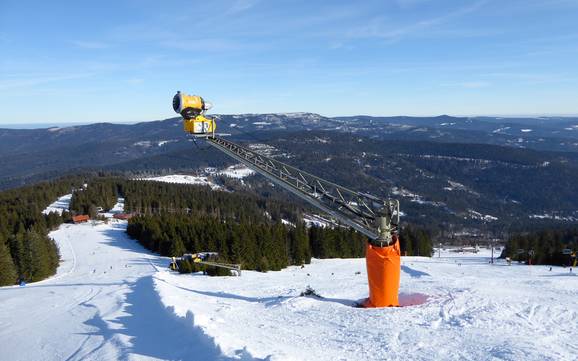 Fiabilité de l'enneigement Zwieseler Winkel – Fiabilité de l'enneigement Arber