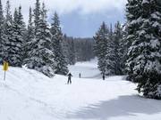 Piste au télésiège Great Western Express