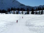 Piste de ski de fond FIS-Seeloipe