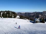 Descente facile de l'Alm