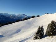 Piste Chamossaire Sud (Villars)