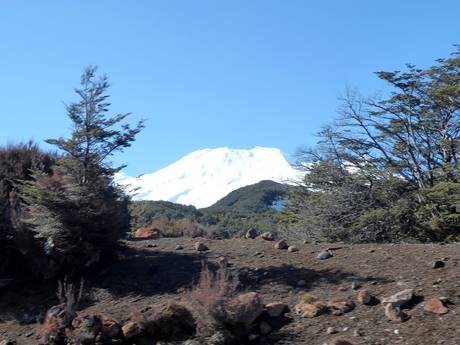Nouvelle-Zélande: Domaines skiables respectueux de l'environnement – Respect de l'environnement Tūroa – Mt. Ruapehu