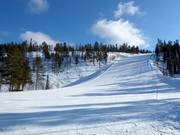 Piste 6 (Northern Slope)