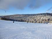 Piste et remontée mécanique à Herzogsreut