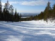 Piste Odingen n° 13