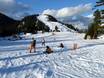 Domaines skiables pour les débutants dans les chaînons du Pacifique – Débutants Grouse Mountain