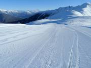 Piste damée au Venet