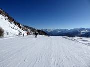 Départ de la piste Doss dei Cembri