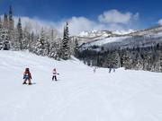 Piste facile au télésiège Link