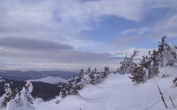 Le plus haut domaine skiable dans le district régional d'Okanagan-Similkameen – domaine skiable Apex Mountain Resort