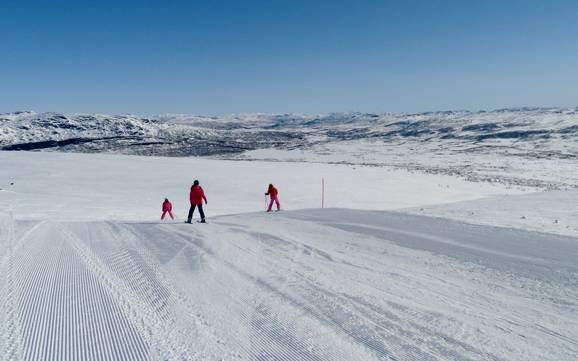 Meilleur domaine skiable dans le Setesdal – Évaluation Hovden