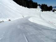 Départ de la piste à la station supérieure de la Hörnerbahn
