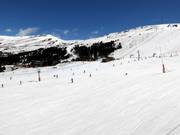 Zone débutants Grau Roig