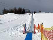 Geigenbühellift III - Tapis roulant/Moving Carpet