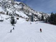 Pistes faciles au télésiège Chickadee
