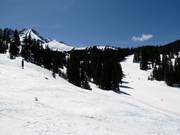 Les pistes dans la Prospect Bowl