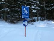 Bon plan pour les enfants : 