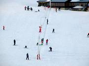 Patti broddgöltur - Télécorde/remonte-pente à câbles bas