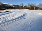 Piste de ski de fond à Obersaxen