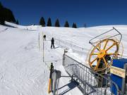 Madlis - Télécorde/remonte-pente à câbles bas