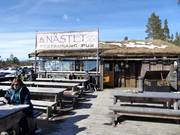 Chalet de restauration recommandé : Vildmarksnästet