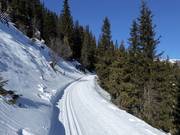 Piste de ski de fond Platschjoch