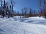 Descentes de rêve à travers les forêts canadiennes
