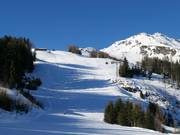 Piste Waldalm avec télésiège Waldalmbahn