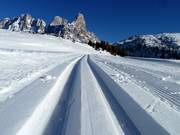 Pistes de ski de fond au col de Rolle