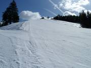 La piste difficile Kreuzlesteilhang