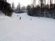 Piste familiale adaptée aux enfants