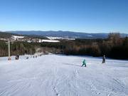 Piste facile au téléski Forsthauslift
