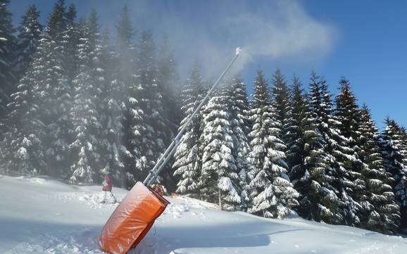 Fiabilité de l'enneigement Monts Métallifères tchèques – Fiabilité de l'enneigement Keilberg (Klínovec)