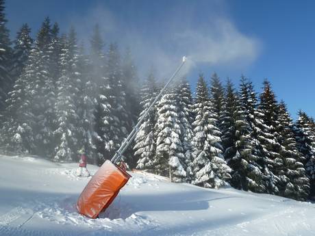 Fiabilité de l'enneigement Monts Métallifères – Fiabilité de l'enneigement Keilberg (Klínovec)