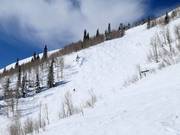 Piste raide près du Lady Morgan Express