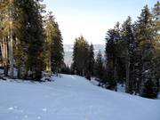 Piste intermédiaire Rennstrecke