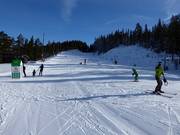 Pente d'entraînement à Tandådalen